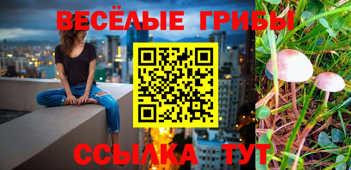 Великий Новгород  Галлюциногенные грибы ЛСД  Галлюциногенные грибы прущие грибы  Вход с VPN 