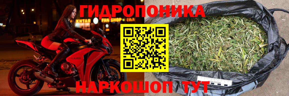 Великий Новгород  Марихуана SATIVA & INDICA  Каннабис AK-47  Вход с VPN 